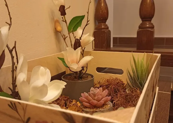 El Cascanueces - Candelario